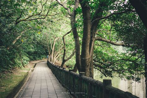 南港公園 能量|《台北南港》南港公園 蘊藏世界罕見最高地穴能量公園、盡情享。